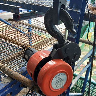 環(huán)鏈提升機(jī)的常見(jiàn)種類(lèi)有哪些